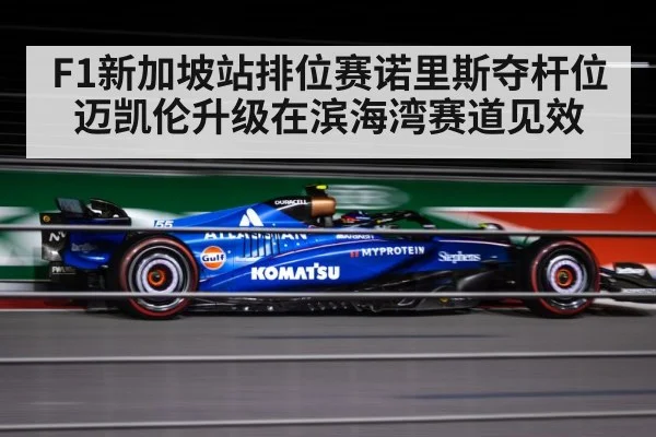 F1新加坡站排位赛诺里斯夺杆位 迈凯伦升级在滨海湾赛道见效